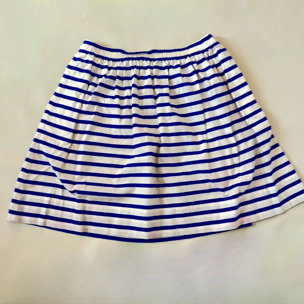 Blue and White Striped J Crew Skirt